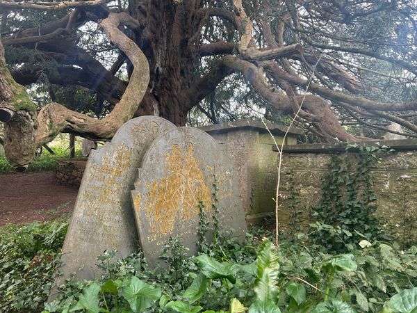 In The Village Churchyard Where The Lovers Are Buried