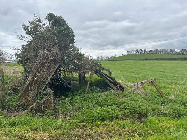 What I Am Able To Tell You About Houses