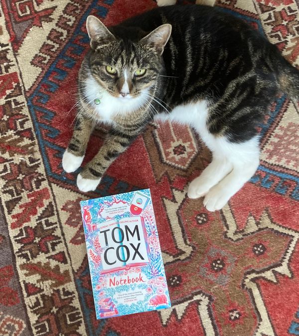 Hurray! Notebook Is Republished Today!