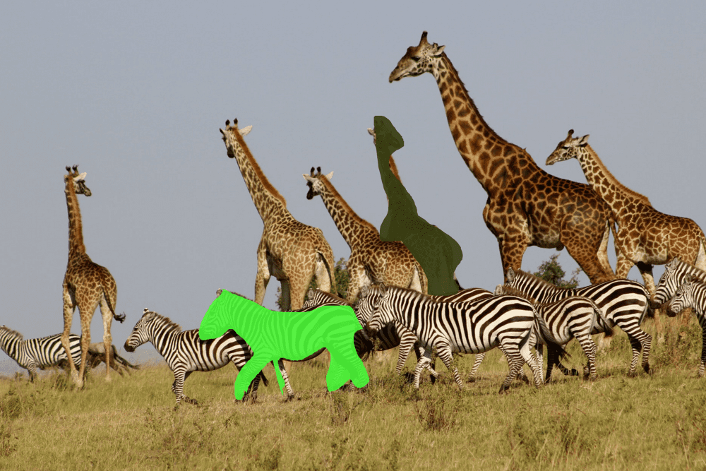 Case study: image labeling with JavaScript