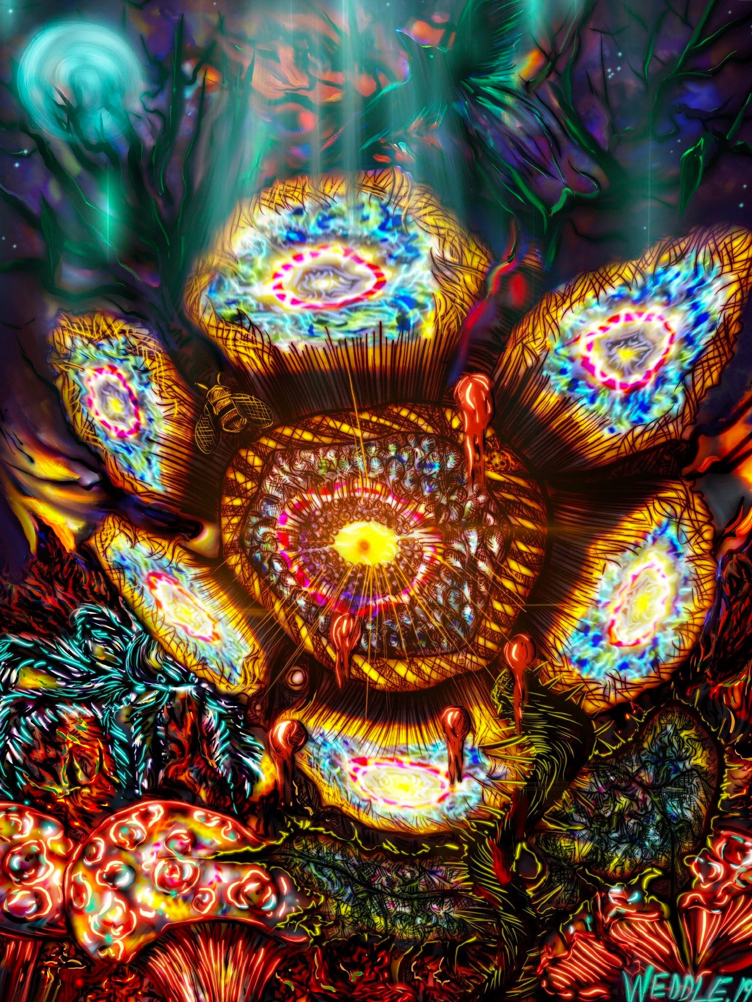 Base Camp_AWeddle.jpeg