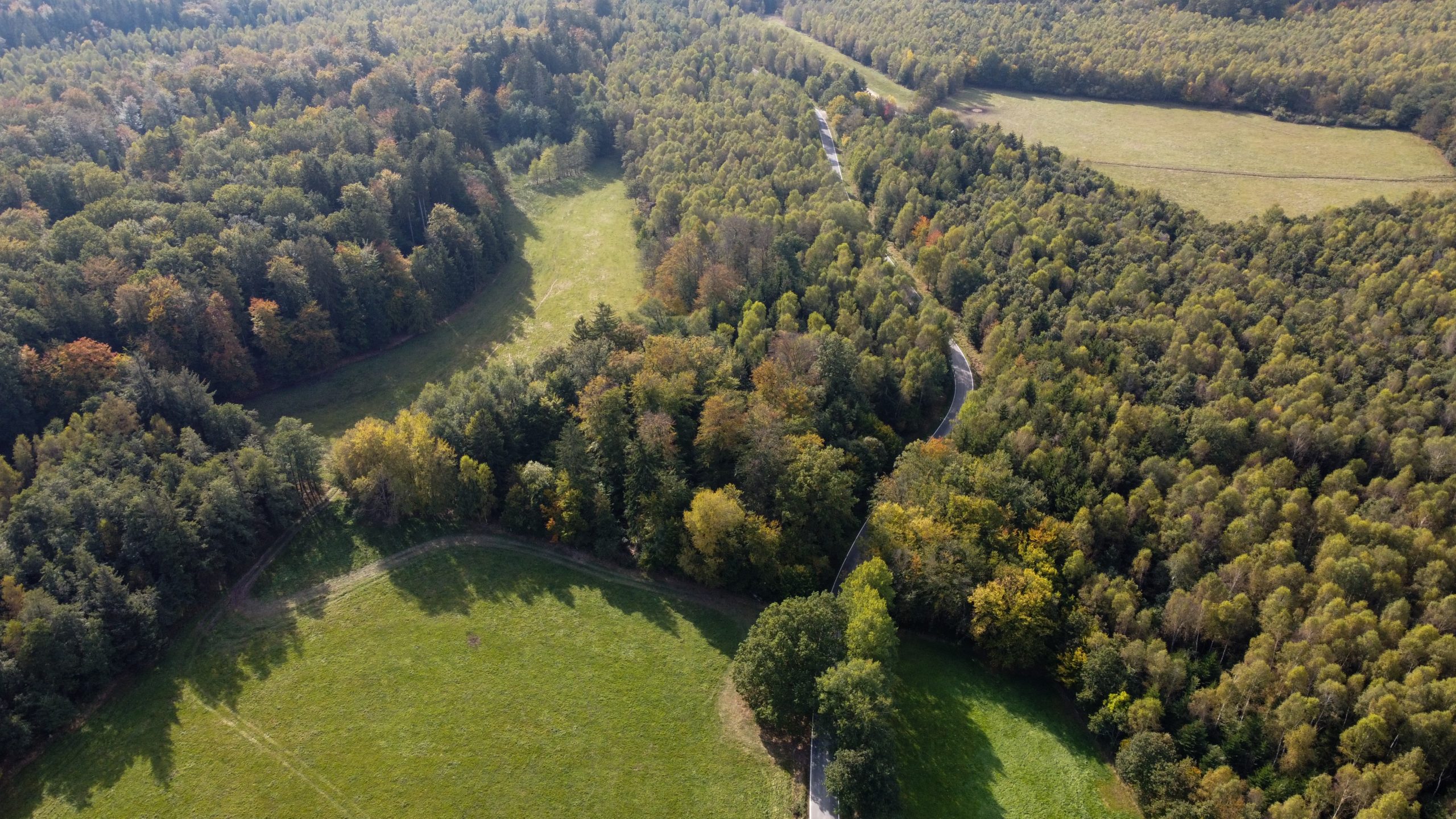 Carbon Offsets - The Good, Bad, and Ugly