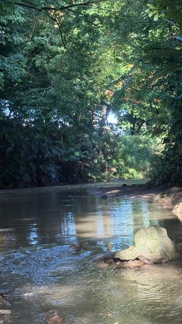 Arrasar o coexistir, el caso del río Piedras