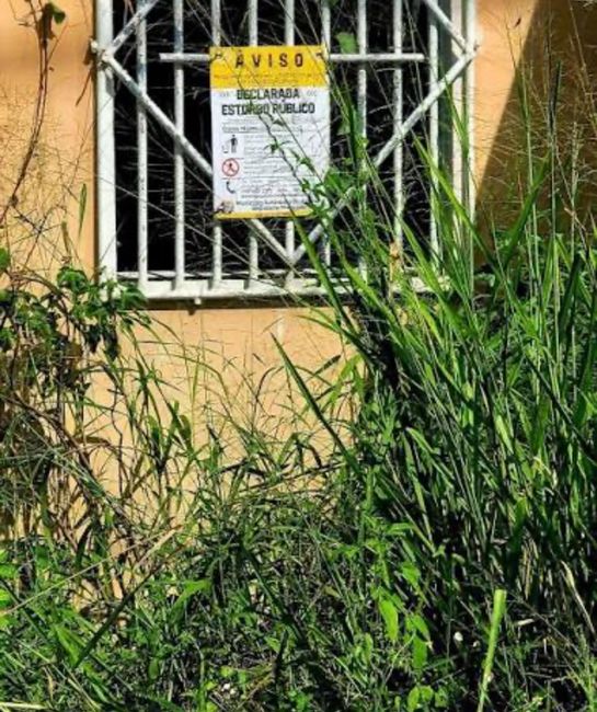 Legisladora Municipal  Elsa Melecio Freytes denuncia ordenanza de estorbos públicos como vía para expropiación forzosa