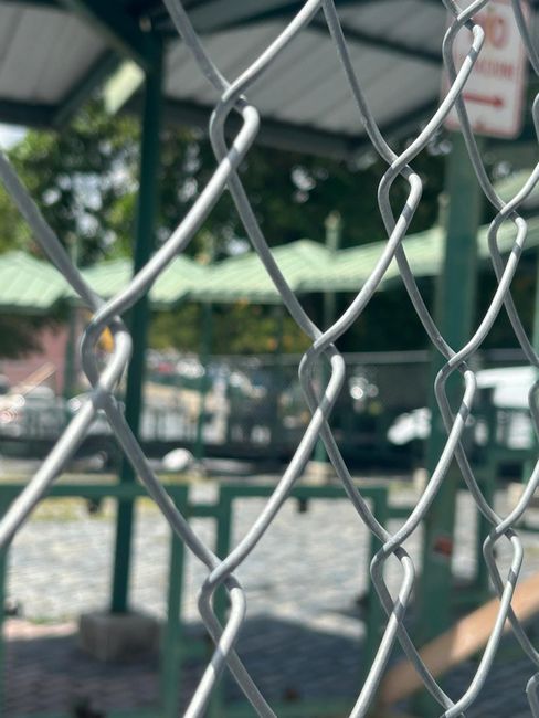 El Movimiento Victoria Ciudadana se apunta una en San Juan