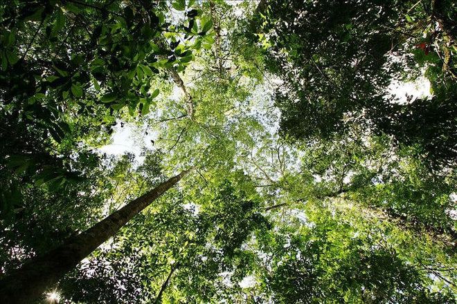 Imagen de: Resolución para que se investigue el propuesto desarrollo Paseo La Cima en Cupey