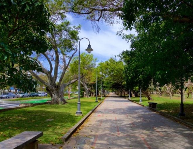 Imagen de: No descartan la privatización del Parque Luis Muñoz Rivera