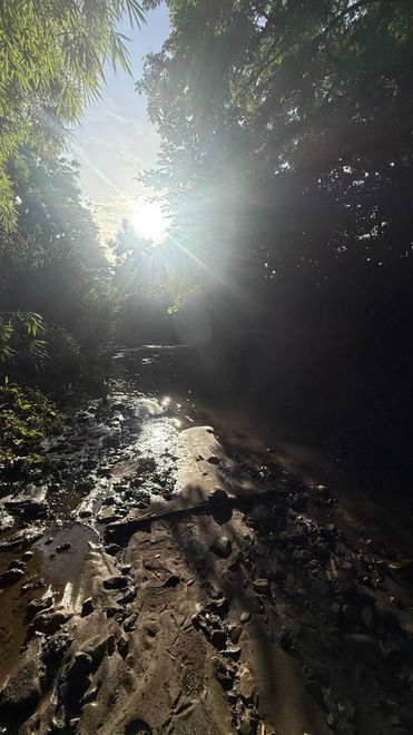 Imagen de: Resolución comunitaria para el manejo integrado de la cuenca hidrográfica del río Piedras