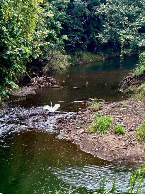 Imagen de: Fiscalización desde las Minorías para una Justicia Ambiental Participativa