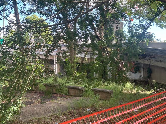 Imagen de: Un legado olvidado a orillas del Caño Martín Peña