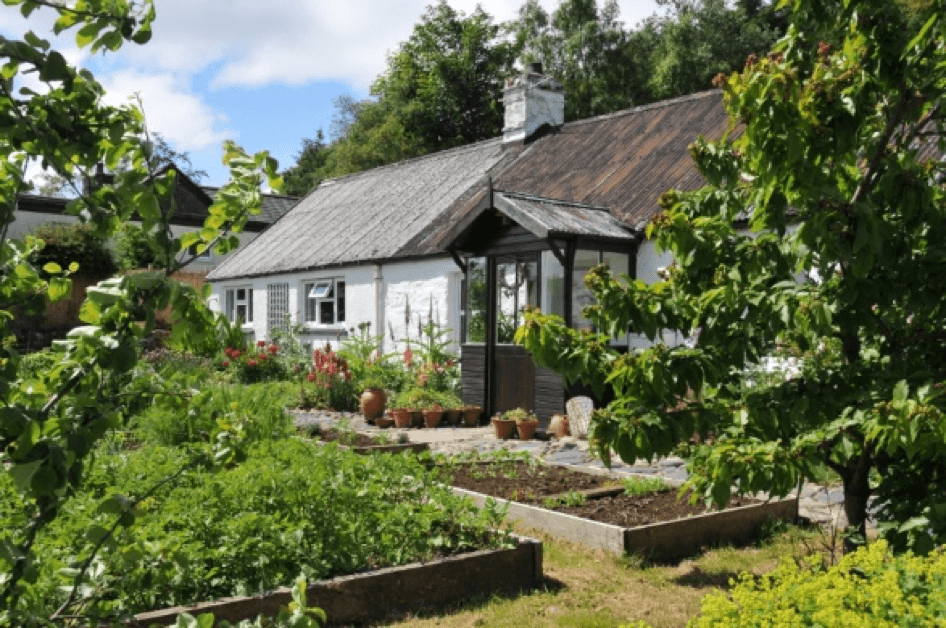 Whisky Memory - That’ll be the Whisky Talking