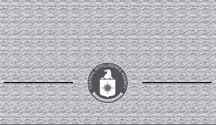 Breakthrough In Lawsuit Against Alleged CIA Spying On Assange Visitors