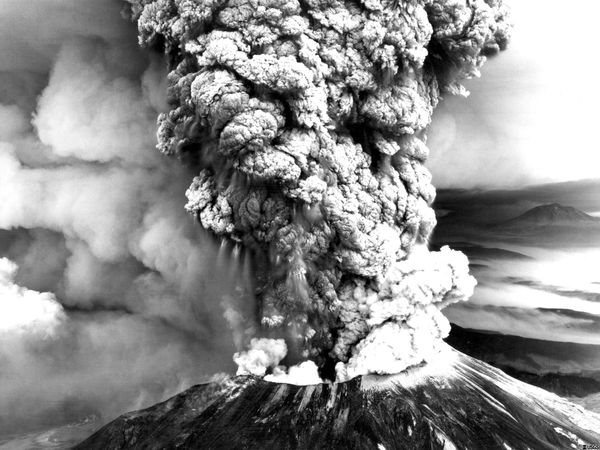 Dispatch 004: UP FROM THE ASH