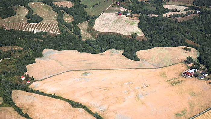 Tørkerammede jorder i Telemark i begynnelsen av august i fjor. Mange norske bønder ble sterkt berørt av tørken og de høye temperaturene. Foto: Berit Roald / NTB scanpix