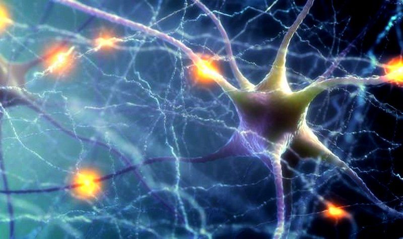 neural network