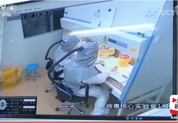Scientists work at inside the Wuhan Institute of Virology.