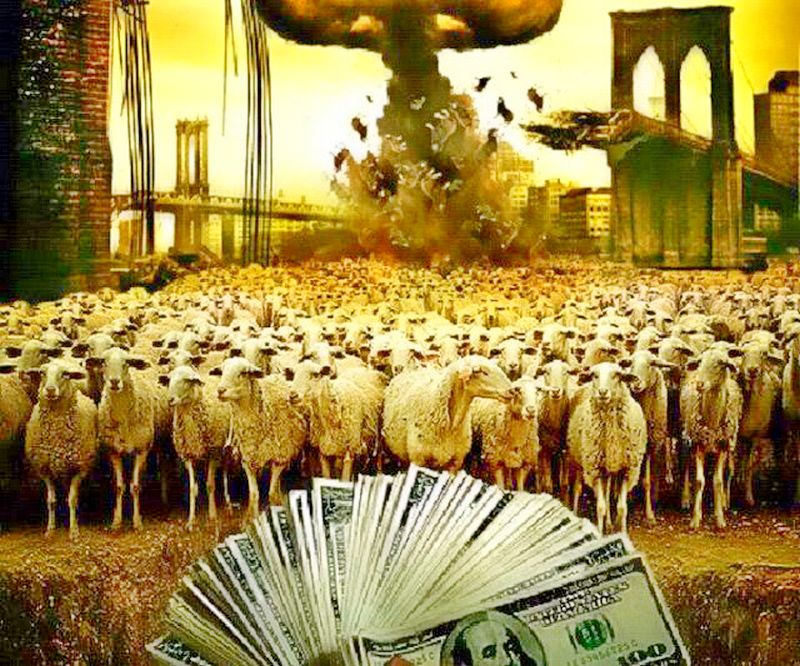 SHEEPLE_MONEY_AND_WAR4