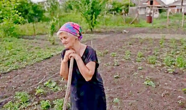 Maria Miroshnyk (77) working in the garden of her grandson in Mala Rohan.