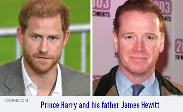 CHICAGO, ILLINOIS - JANUARY 10: Prince Harry