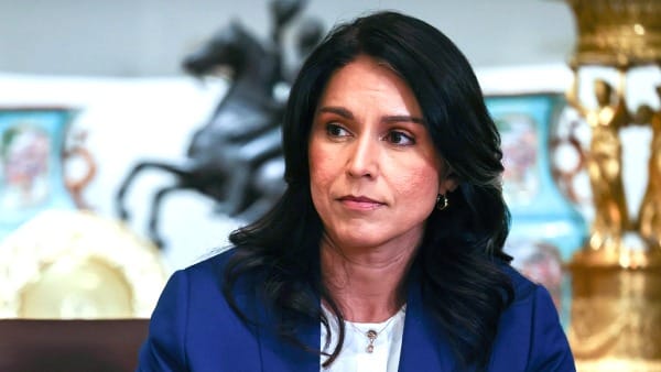 Tulsi Gabbard during a Trump cabinet meeting on July 8, 2025