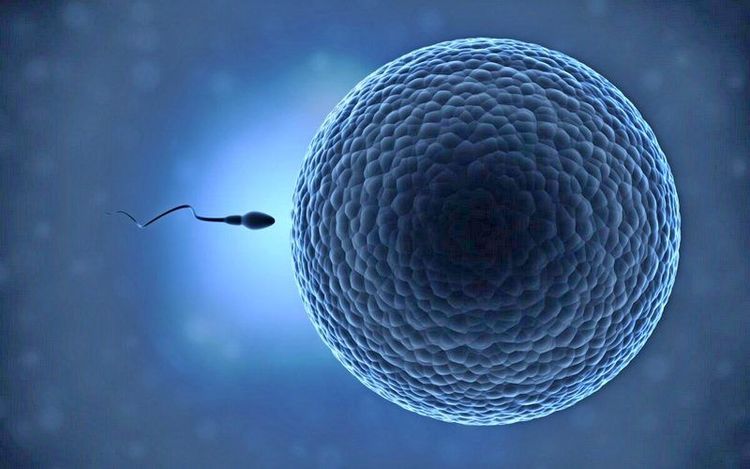 COVID Jabs Impact Both Male and Female Fertility