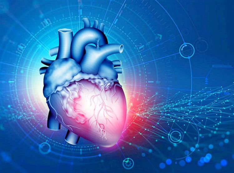 A Surprising Risk Factor of Coronary Heart Disease