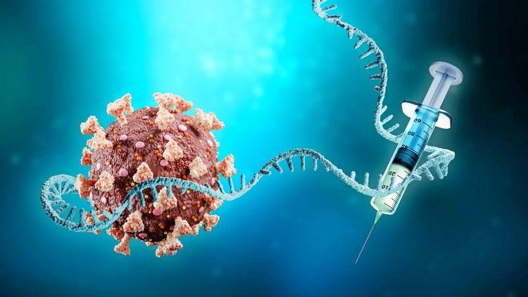 Inflammatory mRNA Nanoparticles Inhibit and Alter Immune Response.