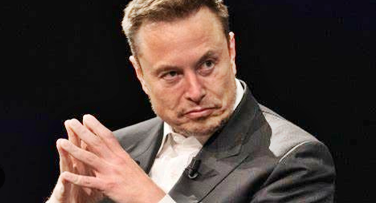 What does Elon Musk believe?