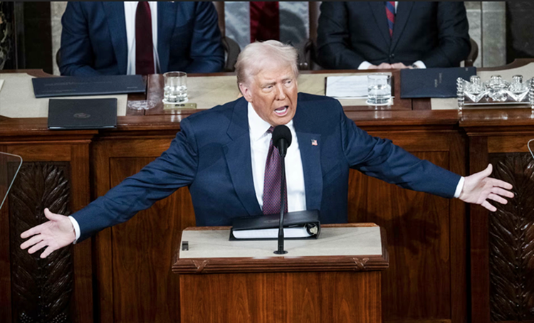 Democrats are acting sedate and silent during Trump’s worst excesses