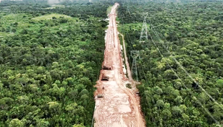 Rainforest Decimated To Build Mega Road For UN Climate Change Summit