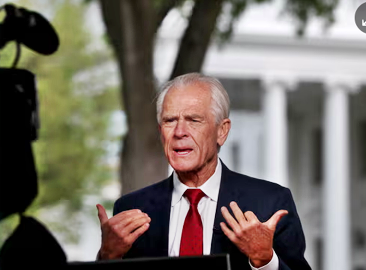Peter Navarro: the economist who has outsmarted Elon Musk and has the ear of Donald Trump