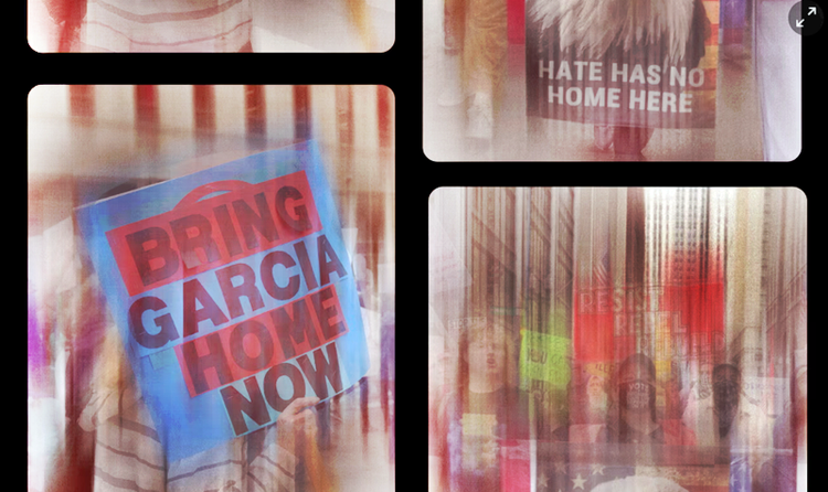 Trump 100 days: after tepid start, protest movements – and Democrats – find footing