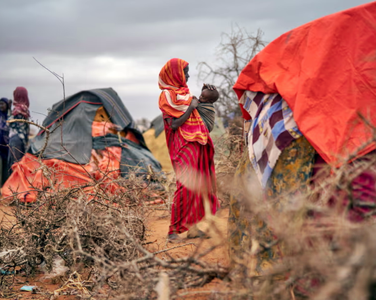 Droughts worldwide pushing tens of millions towards starvation, says report