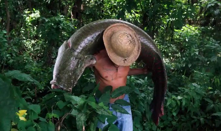 Amazon wild west: where drugs, fish and logging are big money but life is cheap