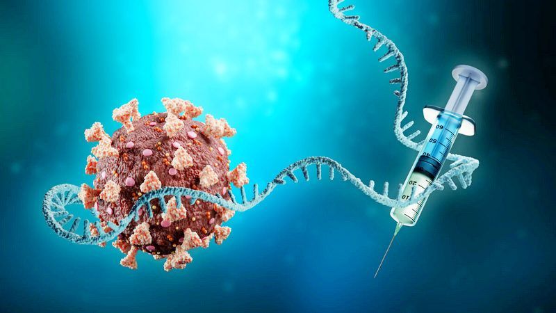 Inflammatory mRNA Nanoparticles Inhibit and Alter Immune Response.