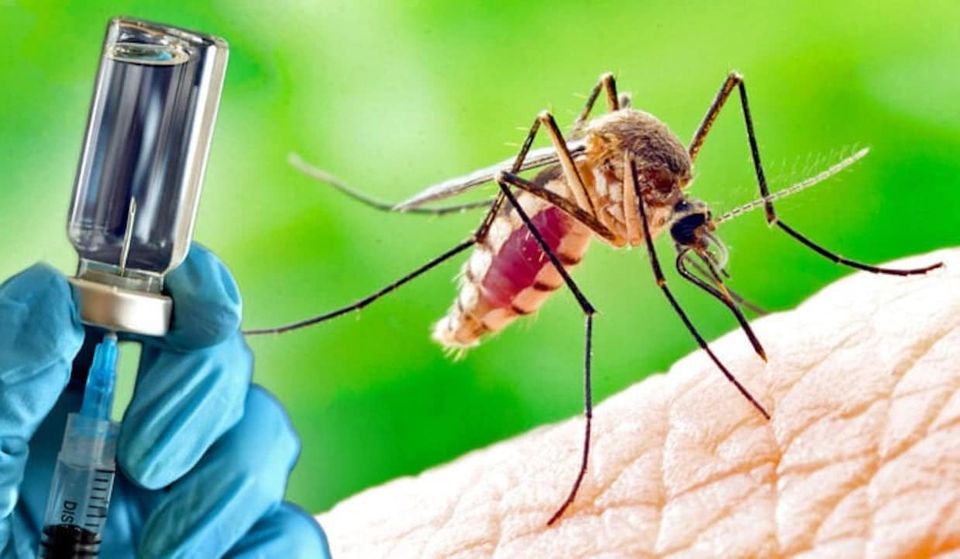 Nightmare in the US: GMO Mosquitoes’ Release likely aiming to Vaccinate without Consent