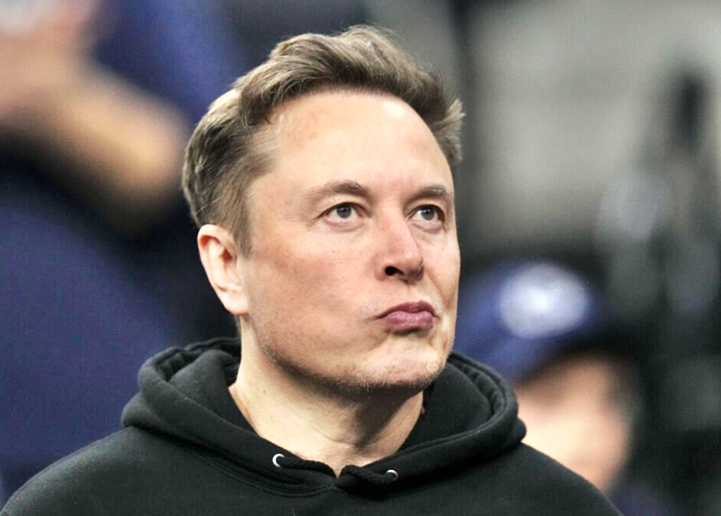 Elon Musk Warns: Europe Will Experience Widespread Slaughter