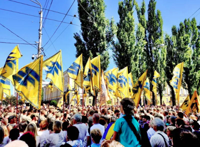 On Neo-Nazi Influence in Ukraine