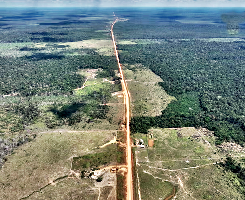 Brazil’s environmental governance is under threat – and Lula is siding with oil industry