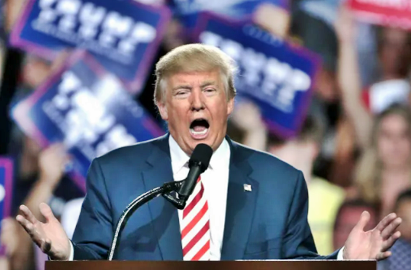 Michael Brenner: Over the Brink