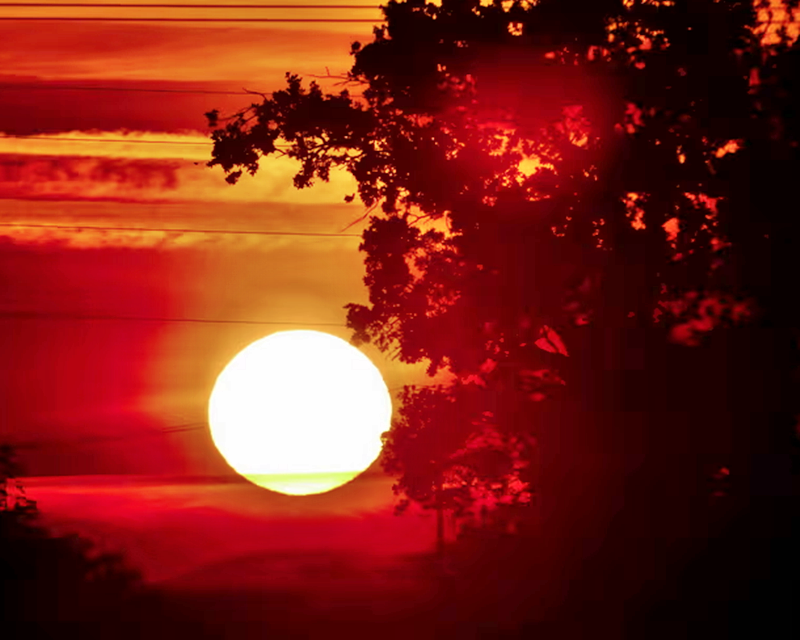 Current heatwave ‘likely to kill almost 600 people in England and Wales’