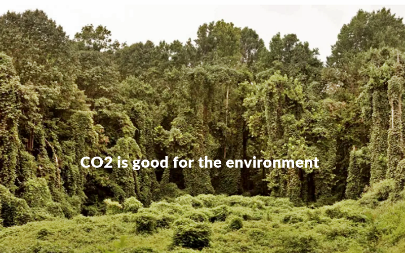 Trees are growing around the world thanks to higher CO2 levels.
