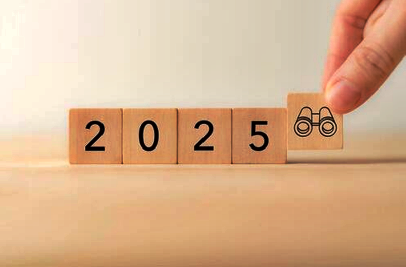First Half of 2025 Review: Debt, Tariffs, and Volatility