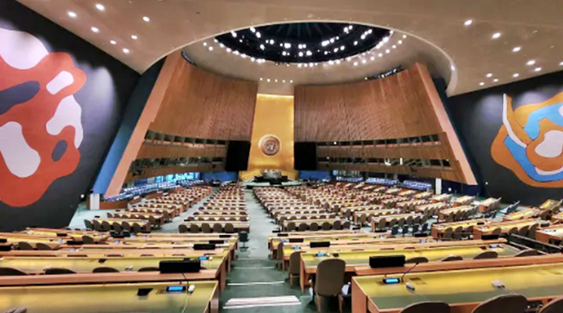 How the UN Could Act Today To Stop the Genocide in Palestine