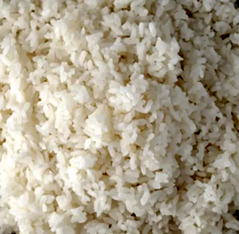WEF declares war on rice as an "existential threat" to the Earth.