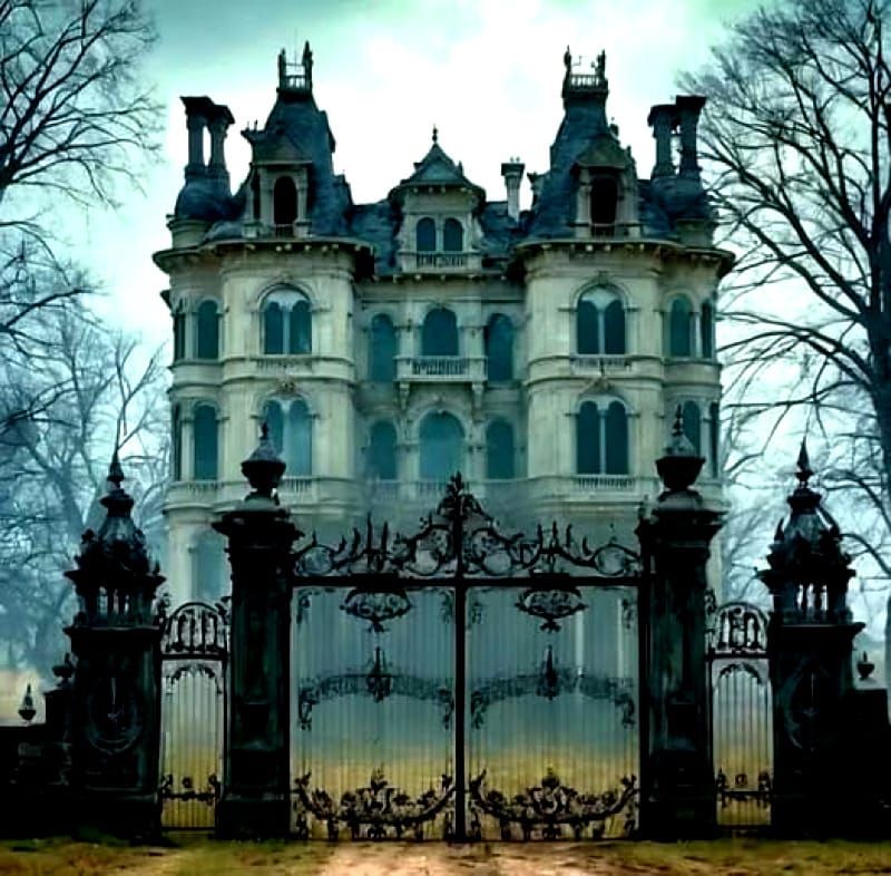 THE SECRET OF LOUISA RUTHERFORD