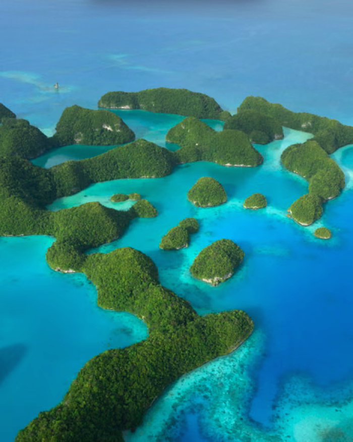 Amid squabbles, bombast and competing interests, what can Cop30 achieve?