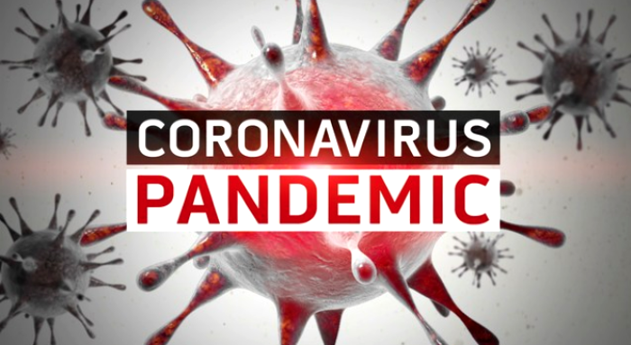 CAUSE OF THE COVID EPIDEMIC