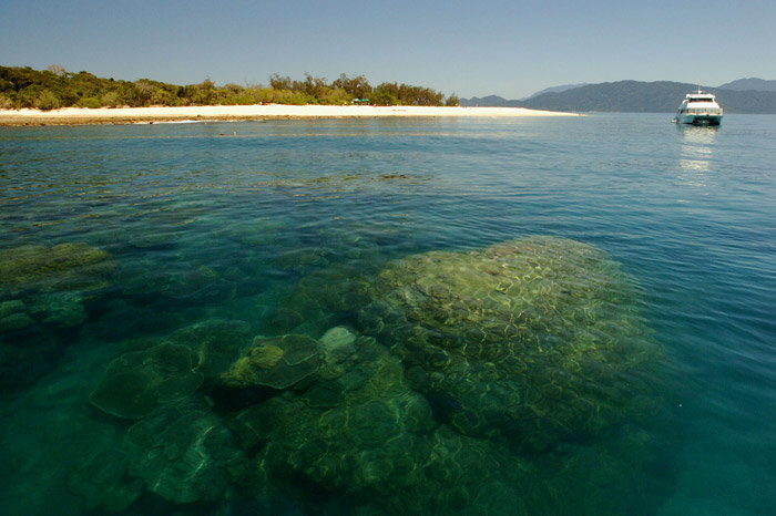 frankland-islands-great-barrier-20401_700x466