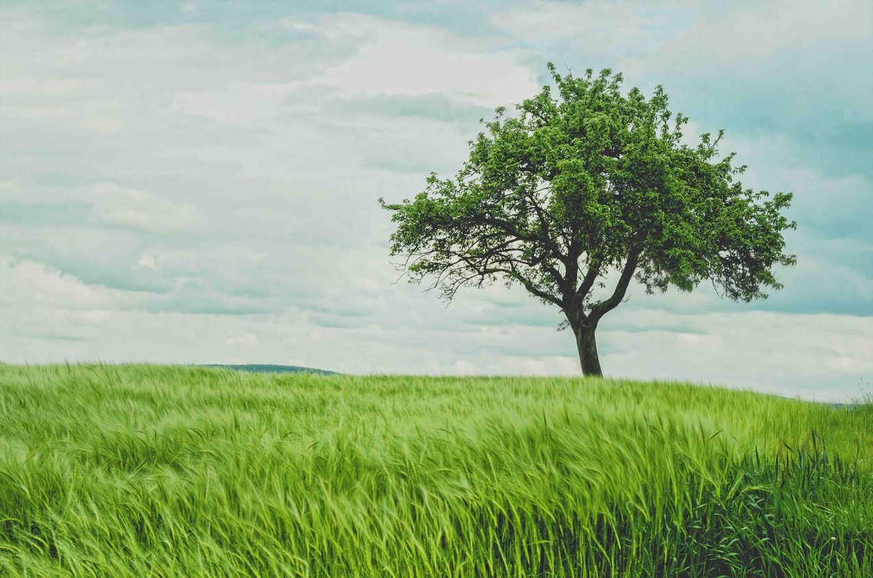 Philosophy and Ordinary Life